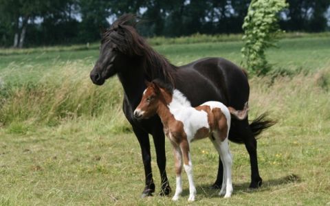 Kinder- und Jugendtag