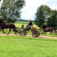 Isländer kennenlernen