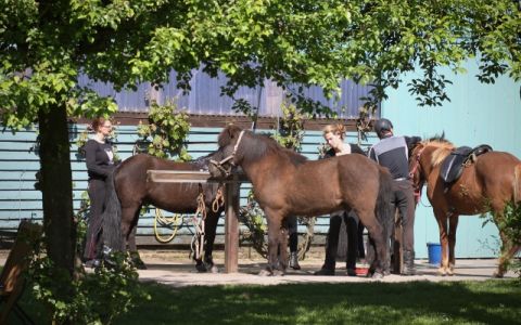 "Schnupperwoche" und dabei "locker tölten im Gelände"