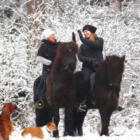 team-muellershoff-isländerhof.jpg